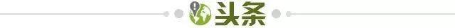 澳门新葡京娱乐城-【早报】打平即可出线！C罗零射正葡萄牙落入附加赛！